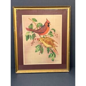 Vintage Lithograph Print Cardinal and Wild Cherry by Vincent 15x10 Framed 60s